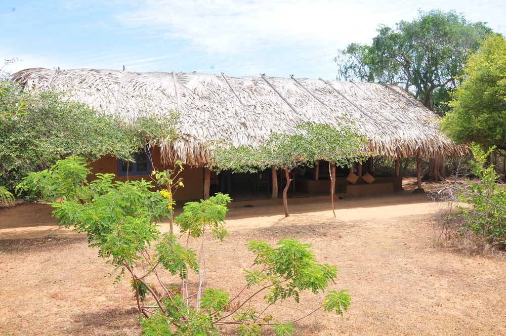 Back Of Beyond Dune Camp Yala Esterno foto