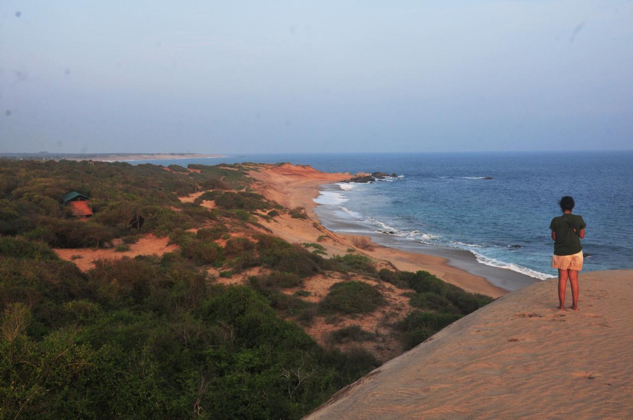 Back Of Beyond Dune Camp Yala Esterno foto