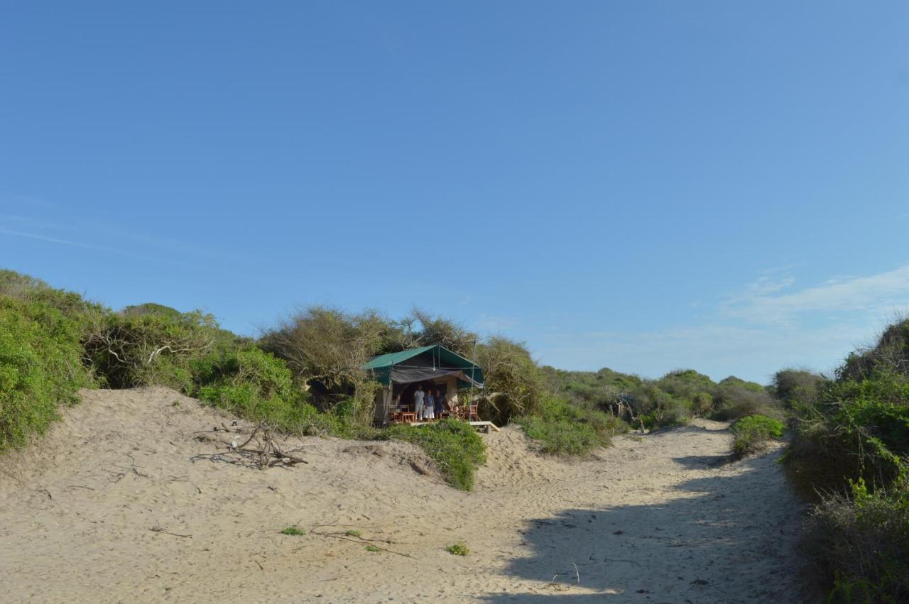 Back Of Beyond Dune Camp Yala Esterno foto